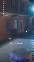 The Tycoon's Precious Pregnant Wife ( Full Episode ) eng sub