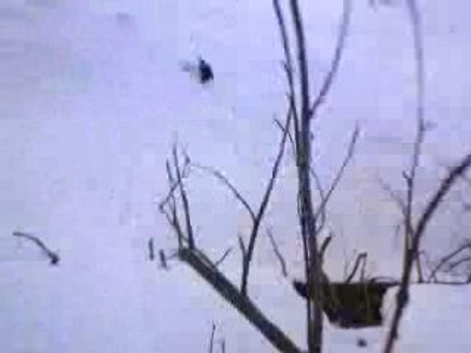 MOV00062