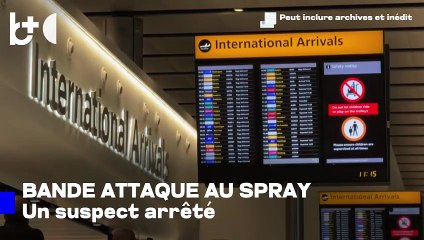 Chaos à l'aéroport de Londres / «Banda» attaque des gens au spray brûlant et s'enfuit