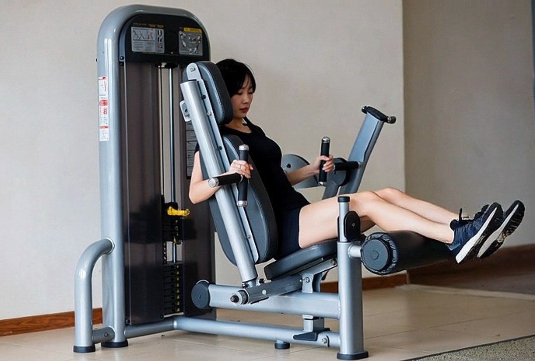Leg Extension