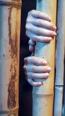 Sold By My Father, Replaced By A Stranger 💔 WHAT WAS STOLEN, I'LL TAKE BACK #revengedrama