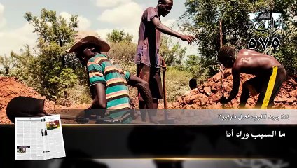 جريدة الراية: أبرز عناوين العدد (575)