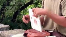 Video that will  make your day