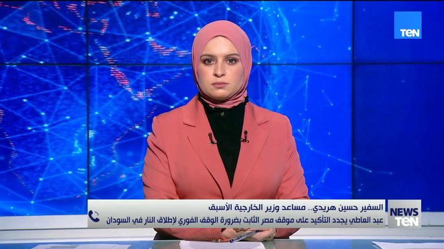 السفير حسين هريدي: مصر تتحرك على كل المستويات لتنفيذ قرار مجلس الأمن وخطة ترامب لإنهاء الحرب في غزة