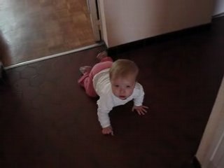 Maïtrise parfaite du mode 4 pattes