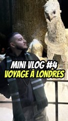 Mini vlog, les studios Harry Potter sont incroyable sérieux ! #4