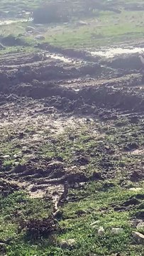 Karaburun’da Fırattekstil GES projesi mahkeme kararına rağmen başladı