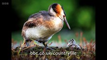 Countryfile - The Power of Water