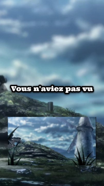 Vous aviez vu?