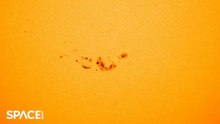 Time-Lapse Of Sunspot AR3664 Growing Into A Giant