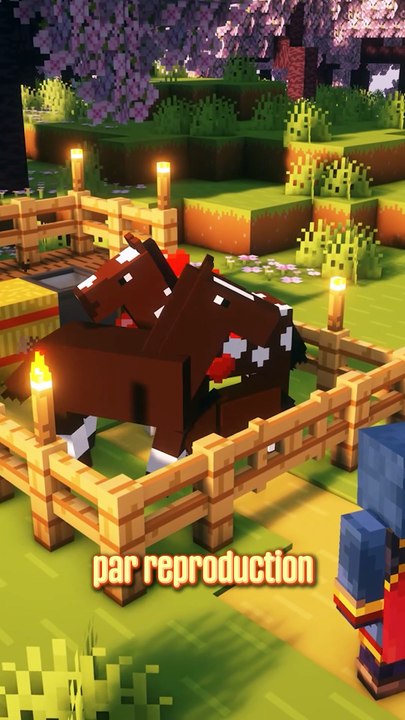 5 façons d'aller TROP VITE sur Minecraft⚡