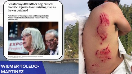 AOTR Elevates Wilmer Toledo-Martinez