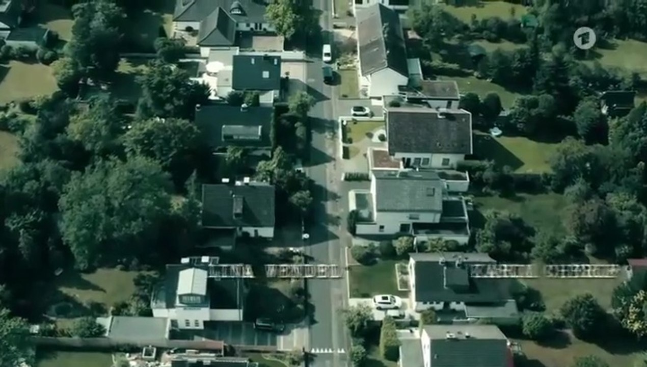 Die Füchsin -06- Treibjagd