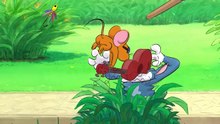 TOM-VE-JERRY-C-ifte-Sorun-YENI--C-izgi-Film.mp4_48
