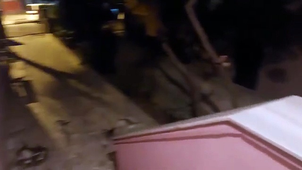 funny Cats Doing Weird Things 😹 Ultimate Cat Fails 2025 🐱 Try Not to Laugh -3