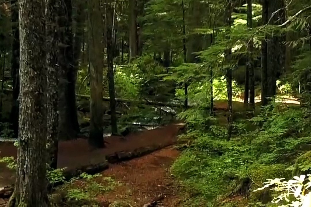 Title: Seerat Series Ep 03 | The Birth of Prophet Muhammad ﷺ