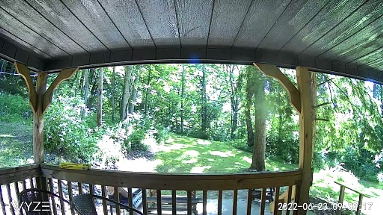 bigfoot June 23 2022 hocking hills ohio - John Shellenbarger (1080p, h264, youtube)
