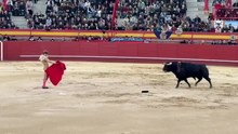 borja jimenez en valdemorillo