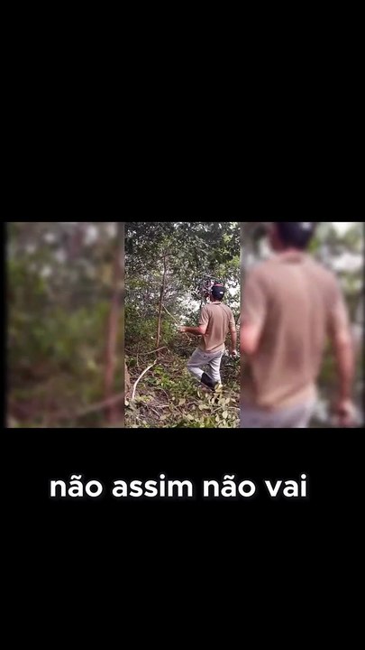 Comprando e Cuidando da nossa Chácara