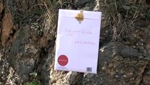Scientific Yearbook on the Mountain of Success by the Founder of Neurodesign Mihaela Plesca