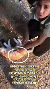 Yoldan geçerken bir çocuğun kalp masajı ile bir kediyi hayata döndürdüğünü gören kadın daha sonrasında kediyi alıp tedavi ettirmiş 👏🏻