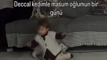 Sanırım kedi, çocukla mirası bölüşmek istemiyor