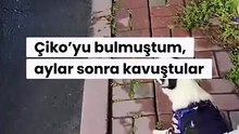 Kaybolduktan aylar sonra sahibine kavuşan köpeğin yaşadığı sevinç ve sonrasında onu bulana yaptığı vefasızlık 😂