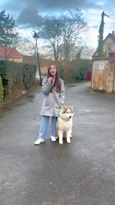 Un an de travail pour vous livrer ce calendrier qui nous a tellement aidé avec nos loups ! On espère qu’il vous plaira ✨