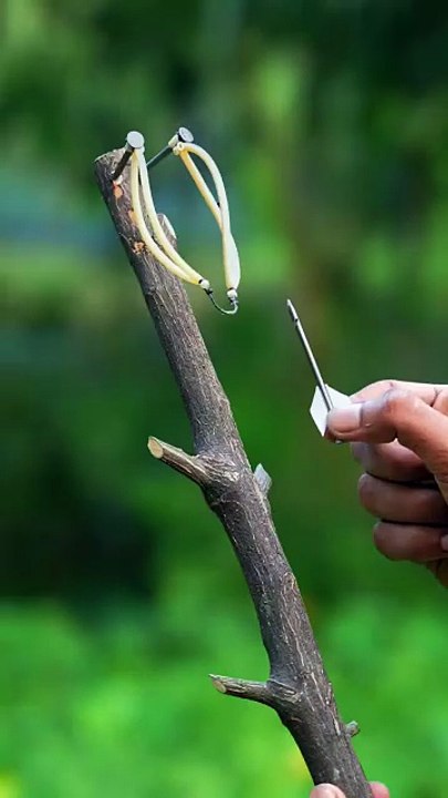 Black stick slingshots with Clour Balloone #Bamboo #Slingshots #Bambooart
