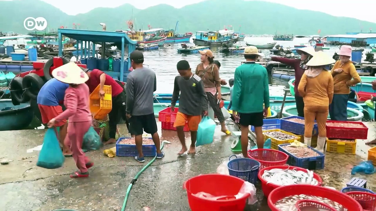 Vietnam - Between communism and capitalism (DW)