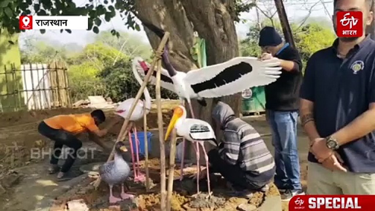अब पक्षियों के साथ सेल्फी: केवलादेव में बने 3डी बर्ड सेल्फी पॉइंट्स, QR कोड से मिलेगी पूरी जानकारी