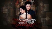 Perfect husband perfect trap