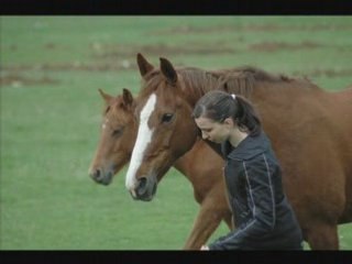 Derniers instants partagés