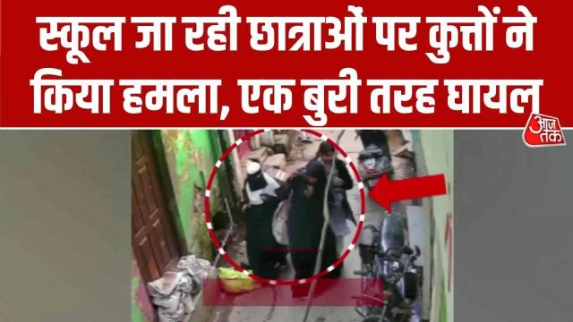 बिजनौर में आवारा कुत्तों ने मचाया आतंक, स्कूल छात्राओं पर किया हमला; Video