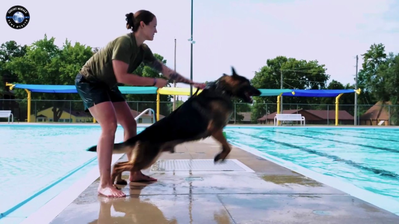 Military Working Dogs Attack in Water! 😱 Air Force MWD 2026 🐕