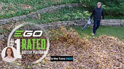 Top 5 Coffee Grinders 2026 [Fresh Ground Every Time]