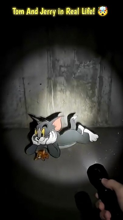 Tom and Jerry in Real Life