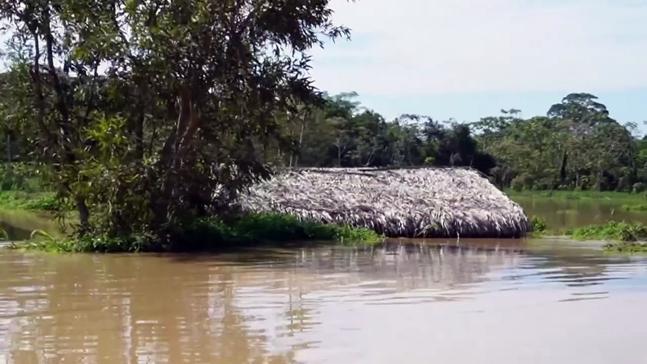 Globo Rural hoje (08/02): Confira os destaques do programa