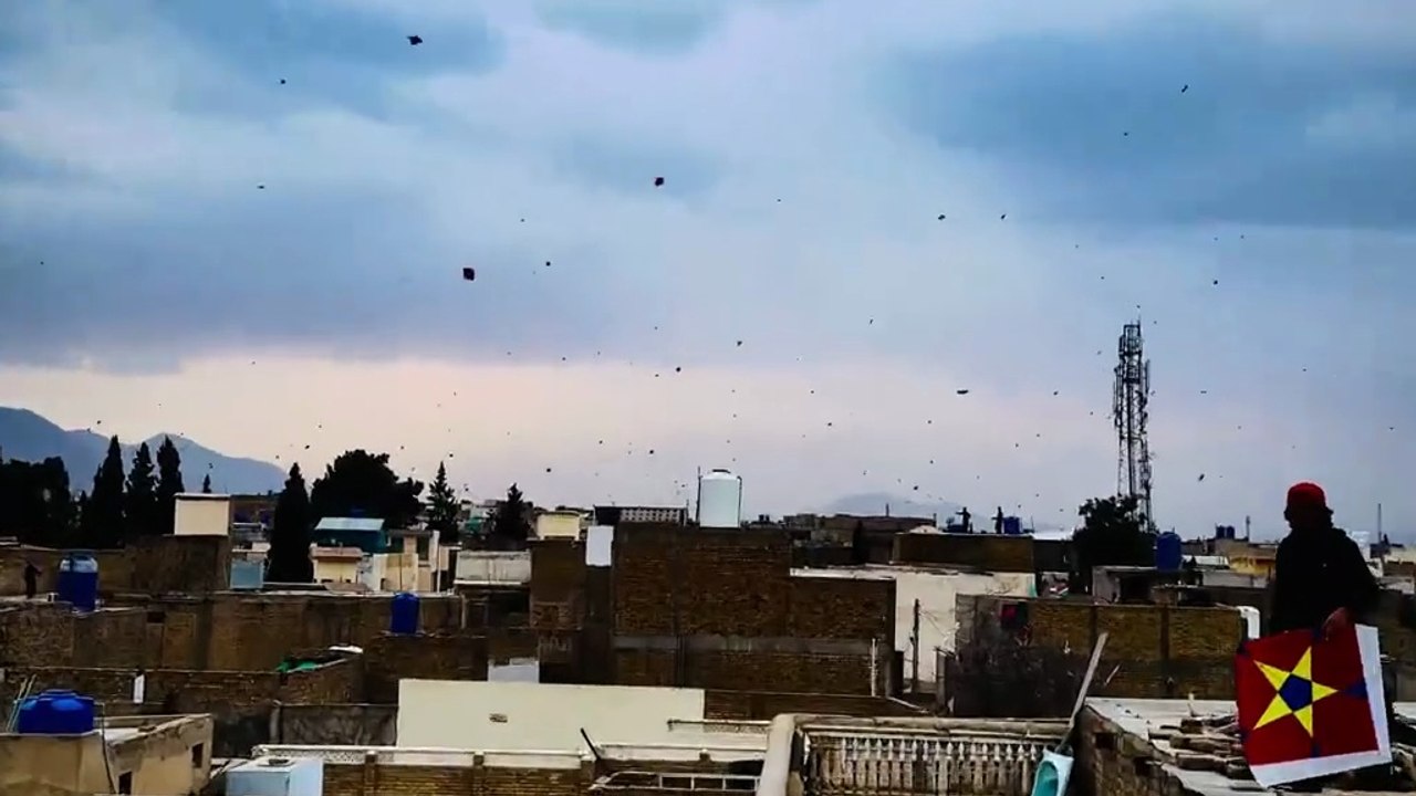 1000075608