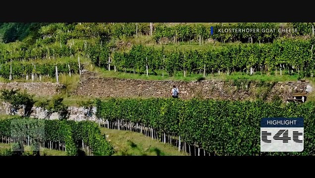 tips-4-trips - My #Tip227 Wine & Dine - Spessart -Goats' cheese from the Spessart