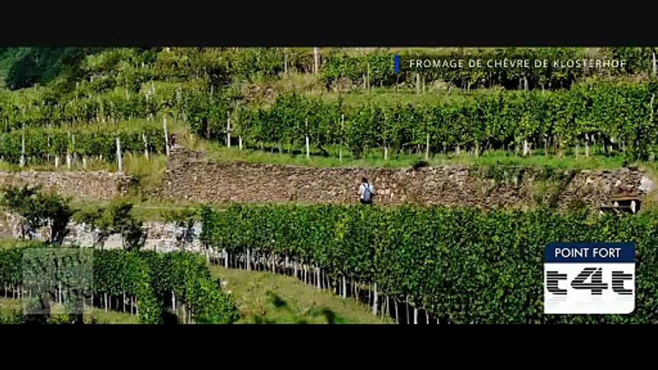 tips-4-trips - Mon #Tuyau227 -- Vin & Dîner - Spessart - Fromage de chèvre du Spessart