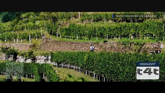 tips-4-trips - Mein #Tipp227 Wine & Dine - Spessart - Ziegenkäse aus dem Spessart