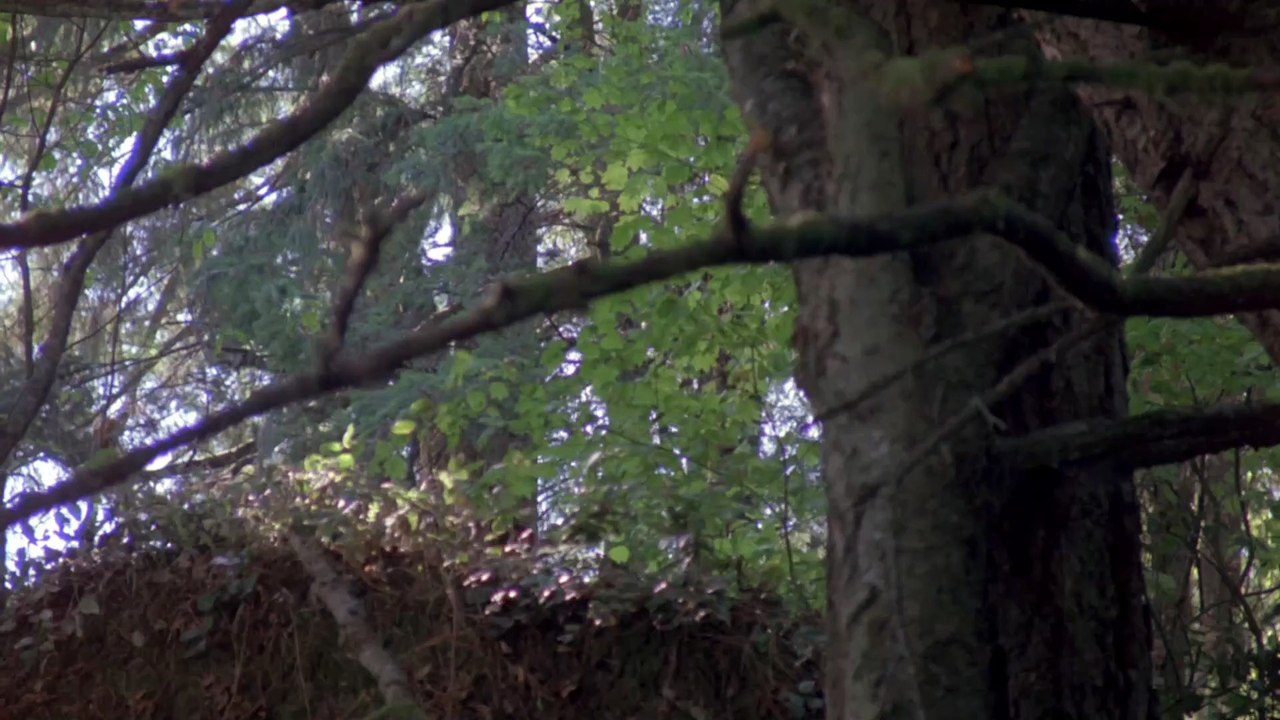 Fire with Fire - Verbotene Leidenschaft