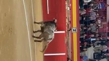 lances aguado valdemorillo
