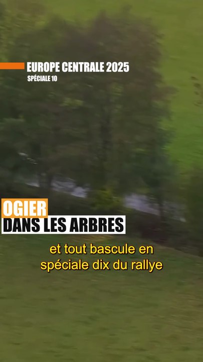 Ogier dans les arbres | Top moments WRC 2025 #WRC #2025 #Ogier
