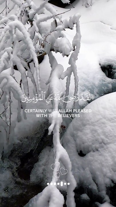 🕊️ Surah Al-Fatḥ (48:18) — سورة الفتح✨Allah Was Pleased… And That Pleasure Changed History 🤍🌿#love #Quran #viral #shorts #trending #youtubeshorts #fyp #short #SurahAlFath #Ridwan #Faith #IslamicReminder