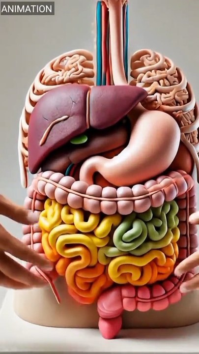 Health