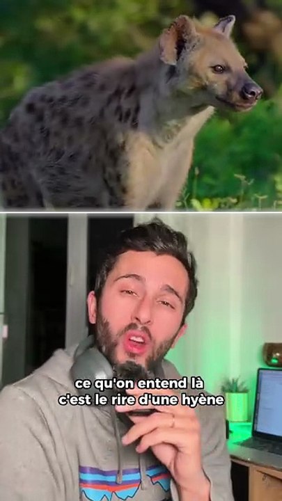 Abonne-toi pour plus de vidéos !