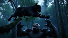 Night Territory War – Gorilla vs Black Panther