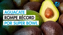 CNA reconoce a productores y destaca récord de exportación de aguacate rumbo al Super Bowl